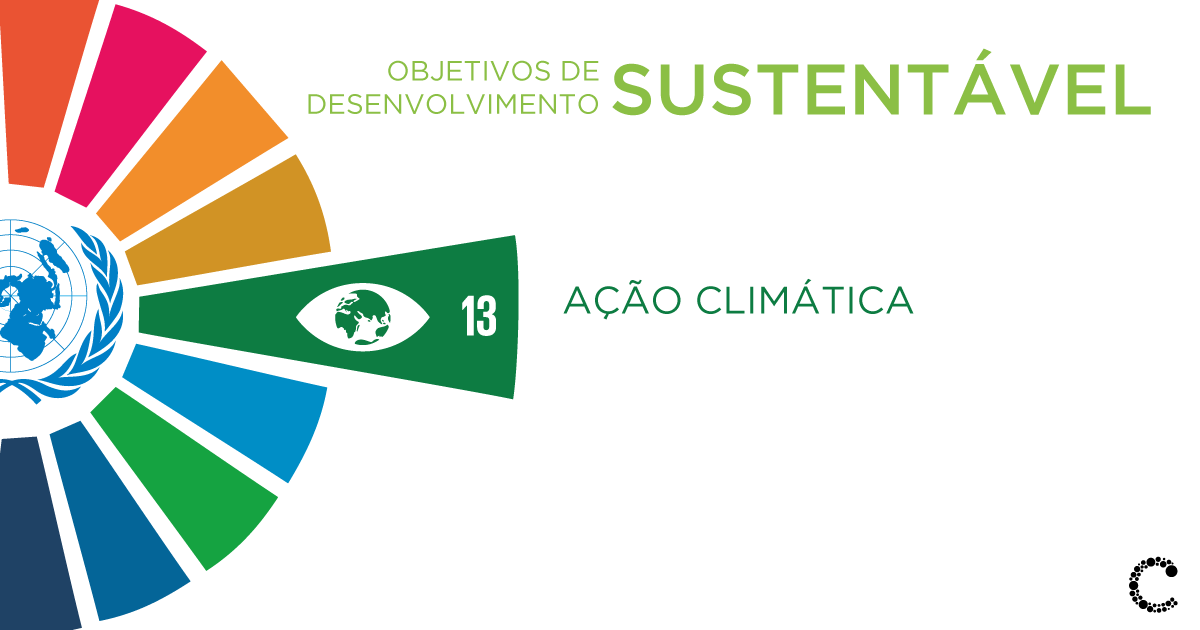 Ação Contra A Mudança Global Do Clima Exemplos