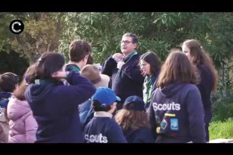 Embedded thumbnail for CNE 550 - Manique