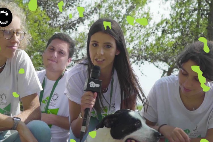 Embedded thumbnail for Cascais Jovem | 20 anos de voluntariado jovem